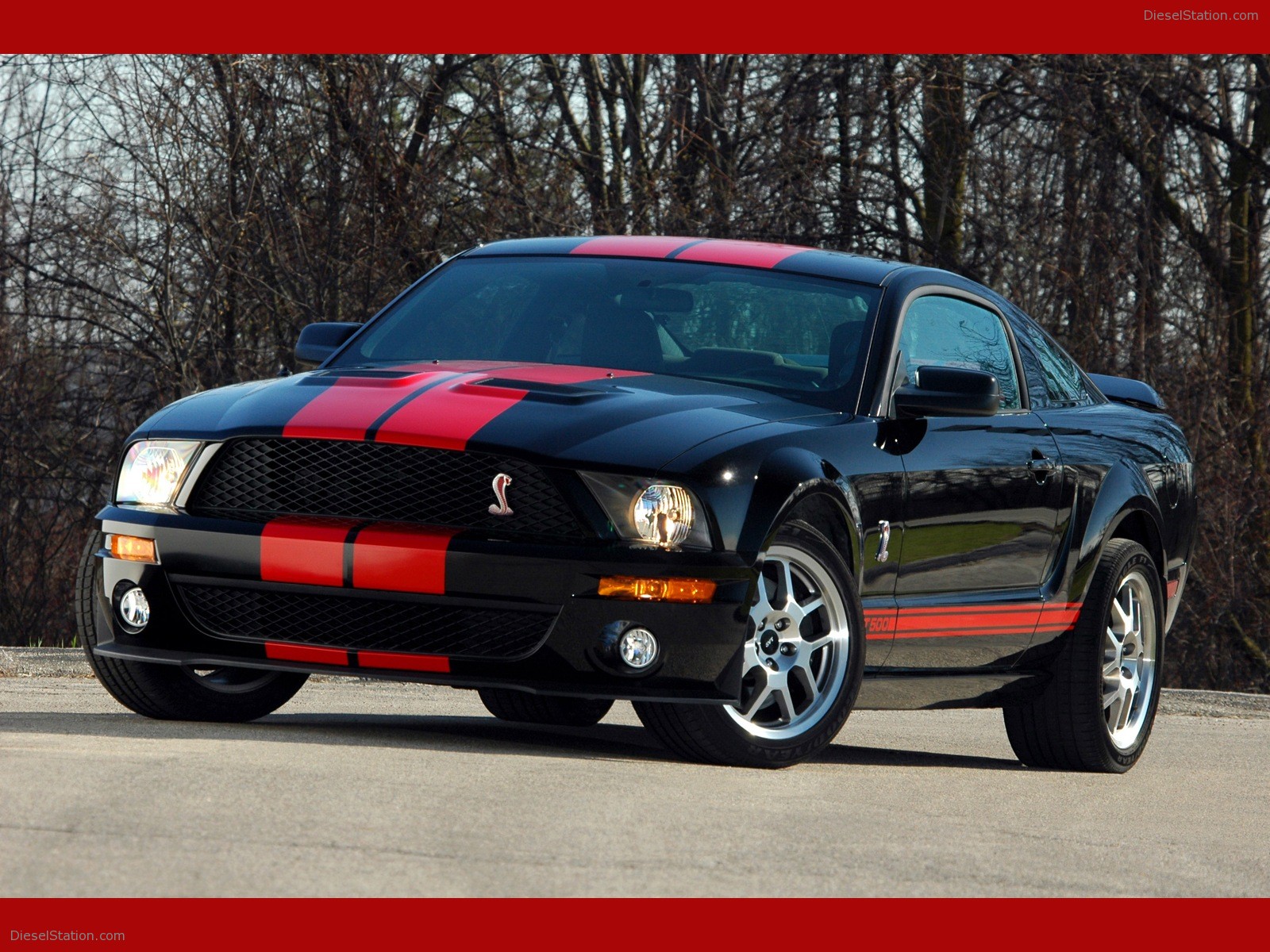 Ford Shelby Cobra GT500 Red Stripe